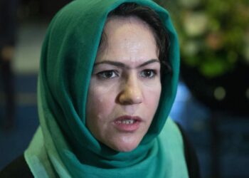 Female member of Afghan peace team survives attack by gunmen | World News