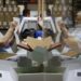 ‘Ballot harvesting’ targeted amid fight over voting rules | Govt-and-politics