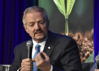 Trump to withdraw Pendley’s nomination as public lands chief | Politics