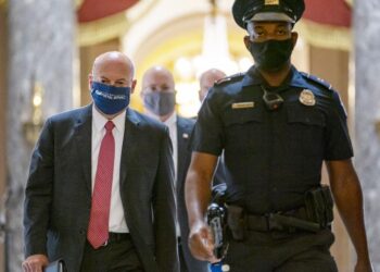 Postmaster to testify before Senate amid uproar over mail | Govt-and-politics