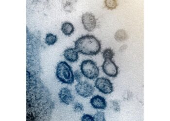 PNG demands China explain COVID-19 vaccine trial on miners | World News