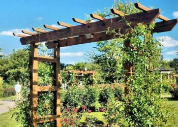 Ideas for creating yard privacy – Time & Money – Neosho Daily News – Neosho, MO