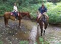 Hanover Township farm offers riding, dining in a relaxing escape – Entertainment – Ellwood City Ledger