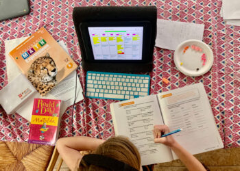 What parents should ask when choosing a tutor this fall – Daily News