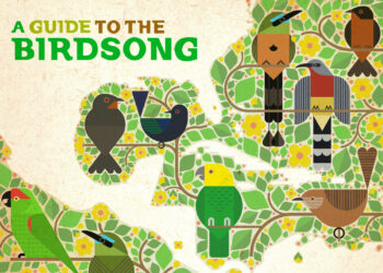 A new album turns the sound of endangered birds into electronic music