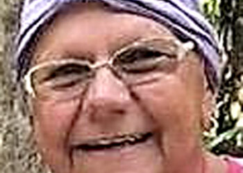 Patricia A. Pushcar 1951-2020 | News, Sports, Jobs