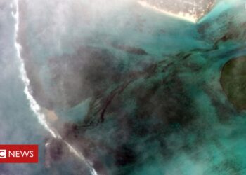 MV Wakashio: Mauritius declares emergency as stranded ship leaks oil