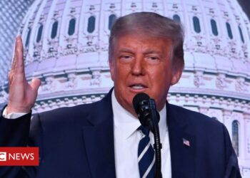 TikTok launches legal action against Trump over ban