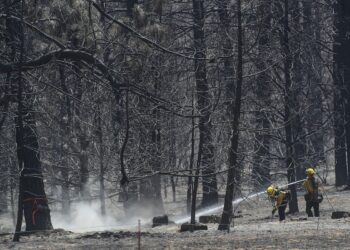 Harris vows to be tough on polluters; more Trump environmental rollbacks