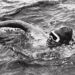 This day in sports: Gertrude Ederle becomes first woman to swim English Channel