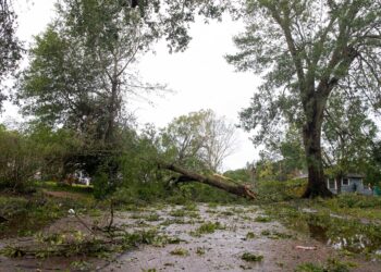 Death toll, damage in Texas, Louisiana