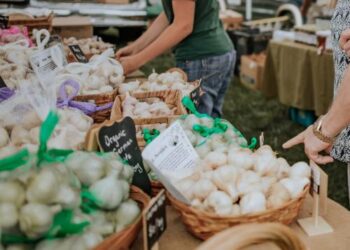 Bennington to transform into Garlic Town, USA, in absence of annual Garlic Festival