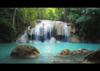 Beautiful Piano Music 24/7 • Relax, Study, Sleep, Work, Meditate