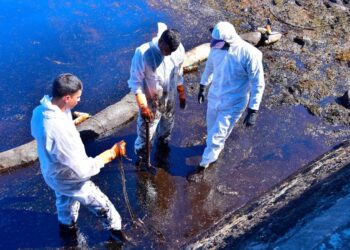 Ship Leaking Tons of Oil off Mauritius Has Split Apart | World News