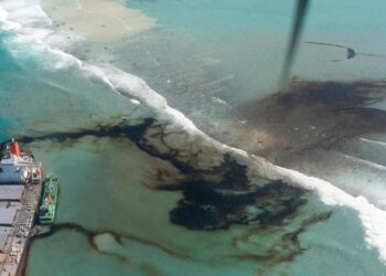 Urgent Pumping Removes Oil From Ship Grounded Near Mauritius | World News