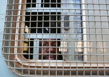 Bail Denied Again to Zimbabwean Journalist Hopewell Chin’ono | World News