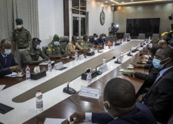 West African Leaders Hold Virtual Talks on Mali After Coup | World News