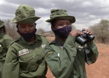 Kenyan All-Female Wildlife Ranger Team Breaks Down Barriers | World News