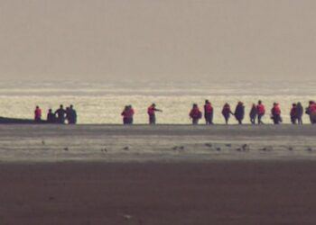 Home Office seeks military help over migrant crossings