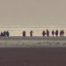 Home Office seeks military help over migrant crossings