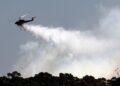 Australian State to Make Landowners Clear Fire Hazards | World News