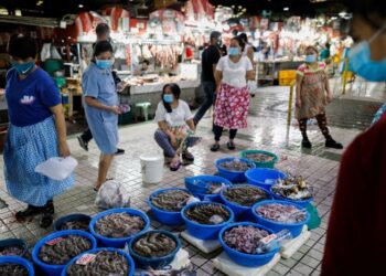 ‘Losing Battle’: Philippine Doctors, Nurses Urge New COVID-19 Lockdowns | World News