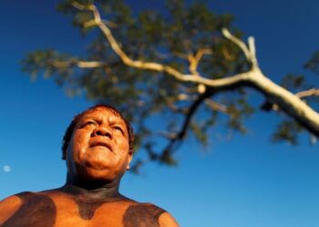 Brazil Indigenous Leader Aritana Dead From COVID-19 | World News