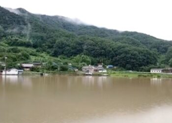South Korea Floods, Landslides Kill 21 as Heavy Rains Continue | World News