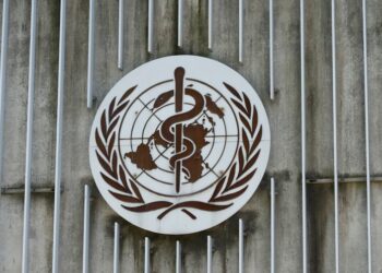 Exclusive: Germany, France Push for WHO Reform Talks in September | World News