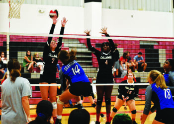 LaGrange volleyball team finds a way – LaGrange Daily News