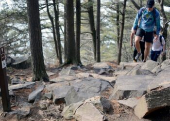 Wisconsin DNR seeks 10-year stewardship renewal | Govt-and-politics