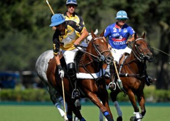The Villages Polo Club Set to Kick Off Adjusted Fall Season | Sports
