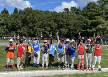Hingham youth baseball teams take home the hardware – Sports – Milford Daily News