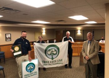Rolla earns Tree City USA recognition – News – The Rolla Daily News – Rolla, MO
