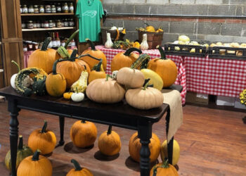 Harbor District Market announces Fall Festival – Washington Daily News
