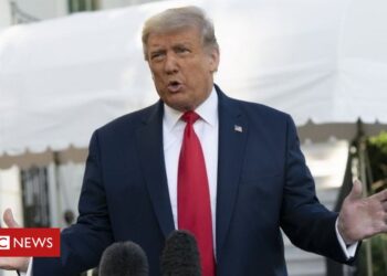 TikTok: Trump says Oracle deal for video app ‘has my blessing’