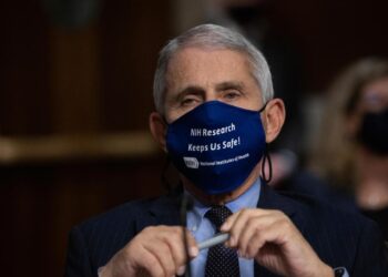 The Latest: Dr. Fauci Cautions Against Pandemic Fatigue | World News