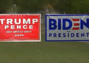 Political signs are being stolen and vandalized from people’s front yards all across WNY