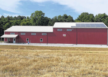 Solar power becoming more popular