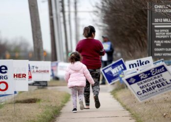 9% of voters are immigrants; Latinos largest minority group