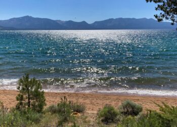 Woman drowns, man hospitalized, 6 children saved