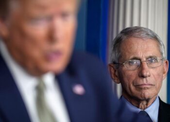 Trump made another baseless political claim about Fauci in North Carolina rally