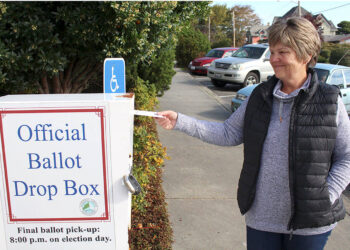 Voter turnout already approaching 40 percent on Peninsula