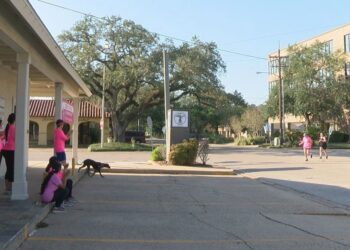 24 in 24 2020 Breast Cancer Run raises money to help fight breast cancer