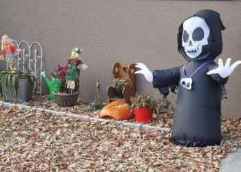 Minot area offers Halloween activities | News, Sports, Jobs