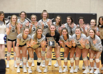 Willard wins seventh consecutive district title