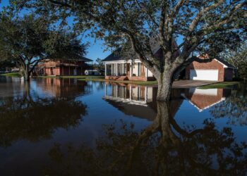 Hurricane Delta, Trump’s COVID-19 status: Weekend’s biggest news