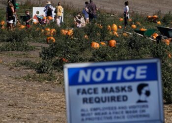 Hawaii tourism; Donald Trump in Iowa; Delta $5.4B loss