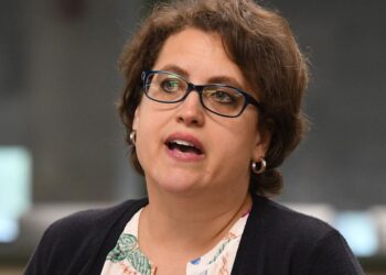 Technically opponents, Steve Williams endorses Dana Balter for Congress | Politics