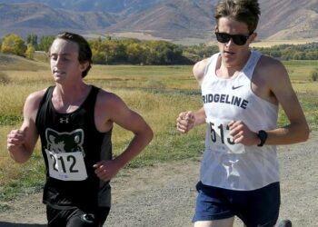 Bears run to boys region cross country title | School Sports